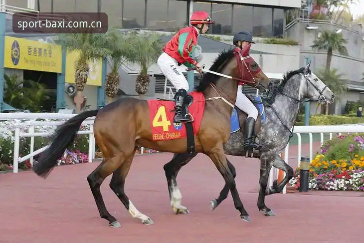 博喜体育官网全面评测：新手入门指南与实战体验报告